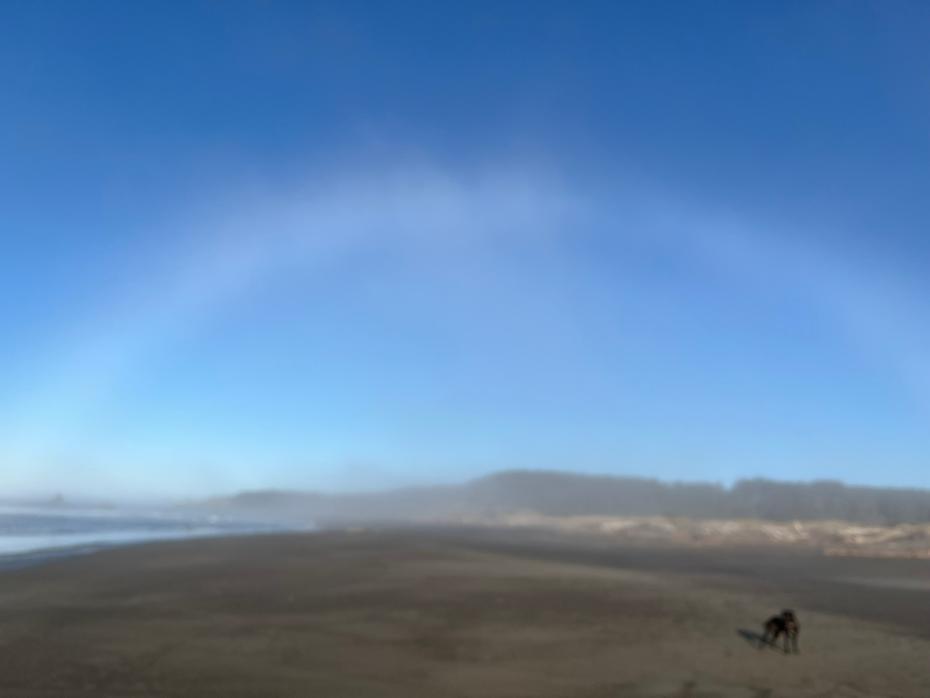 تويوتا: مغامرة بحرية في بورت أورفورد وشاحنتها ذات السرير اللامتناهي